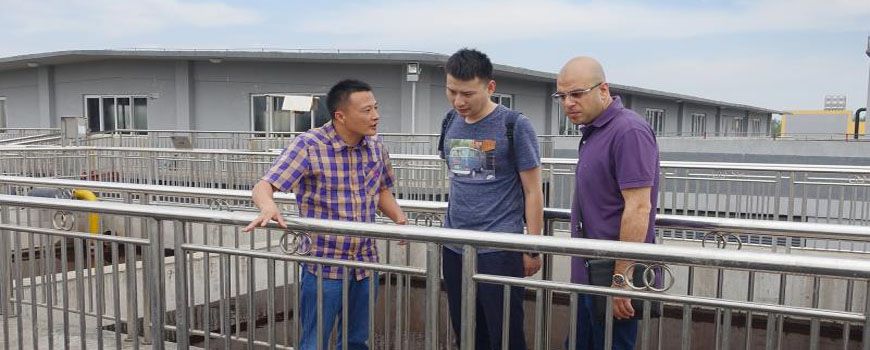 種好梧桐樹，引得鳳凰來